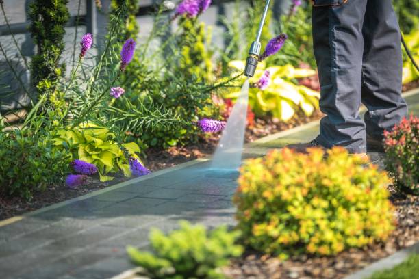 Best Sign and Awning Cleaning  in Cumberland, WI
